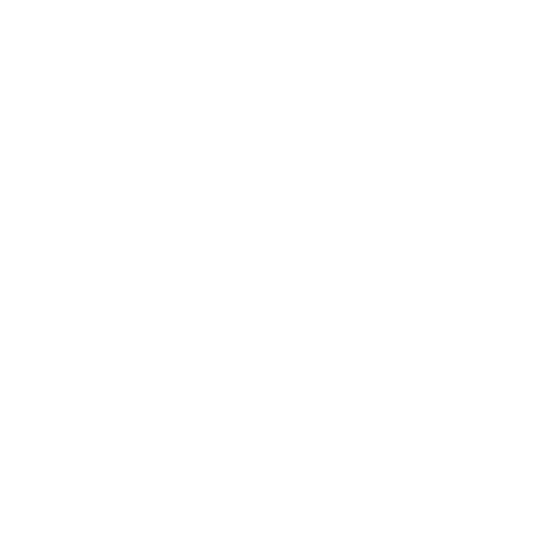 PARTNERSHIP